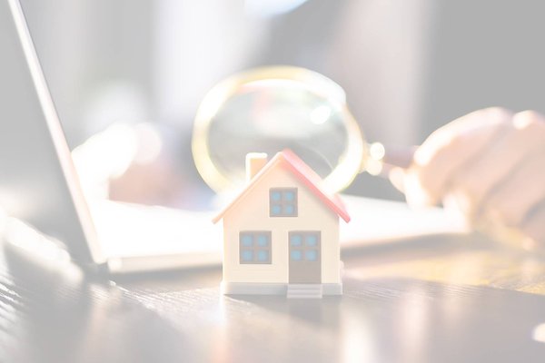Immobilier De Luxe